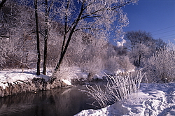 ���� � ����� ������ ������� ���� �������