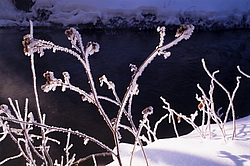 ���� � ����� ������ ������� ���� �������