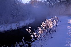 ���� � ����� ������ ������� ���� �������