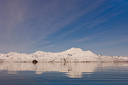 ������� ��������, ����� �������, ���� ���������� �� ���������� �����