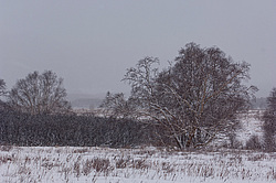 ��������, ������� ���������� �����������, �������� �������� �����