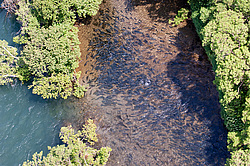 ��� ������� �� ������, ���������� �����, ���������� ����