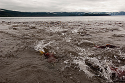 ��� ������� �� ������, ���������� �����, ���������� ����