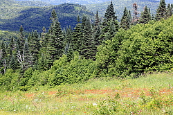 ������, ������������ ����, ���� 2014