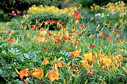 ������, ������������ ����, ���� 2014