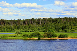 �����, ������