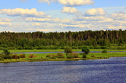 �����, ������