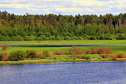 �����, ������