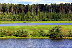 �����, ������