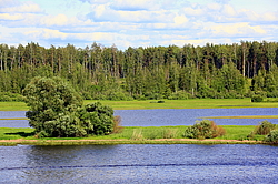 �����, ������