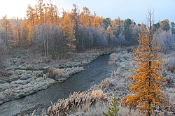 ������������ ��������������� ��������� ���������� ����������, �������, ������