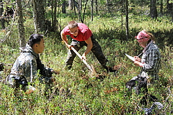 ������������ ��������������� ��������� ���������� ����������, �������, ������