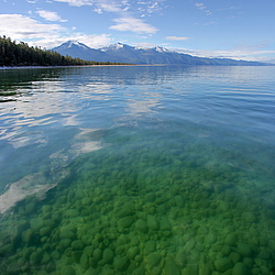 ������������ ��������������� ��������� ���������� ����������, ����� ������, �������, ������