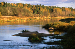 ������� ������ �� ���� ������