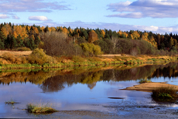 ������� ������ �� ���� ������