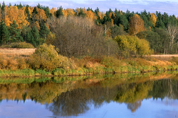 ������� ������ �� ���� ������