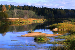 ������� ������ �� ���� ������