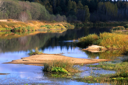 ������� ������ �� ���� ������