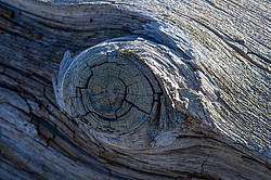 ��� ���-�������, ������� ��������� - ����������� ������ ��������