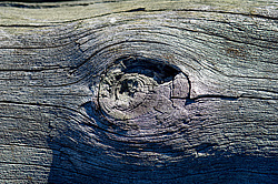 ��� ���-�������, ������� ��������� - ����������� ������ ��������