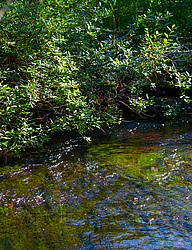 ������ ����� �������� ������� � ������ ���-��������