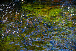 ������ ����� �������� ������� � ������ ���-��������