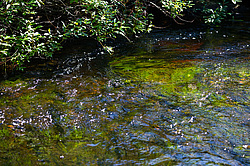 ������ ����� �������� ������� � ������ ���-��������