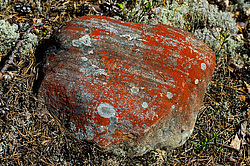 ������ ����� �������� ������� � ������ ���-��������