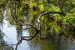 ������ ����� �������� ������� � ������ ���-��������