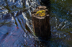 ������ ����� �������� ������� � ������ ���-��������