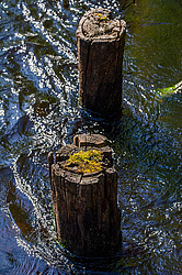 ������ ����� �������� ������� � ������ ���-��������