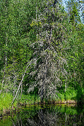 ������ ����� �������� ������� � ������ ���-��������