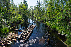 ������ ����� �������� ������� � ������ ���-��������