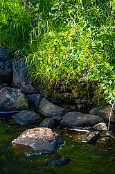 ������ ����� �������� ������� � ������ ���-��������