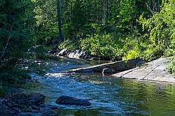 ������ ����� �������� ������� � ������ ���-��������