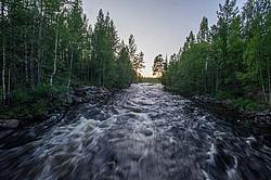 ���� ����� ���� ����� � ������ ����� ��������� (����������� ��������)