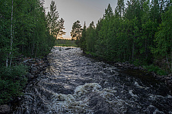 ���� ����� ���� ����� � ������ ����� ��������� (����������� ��������)