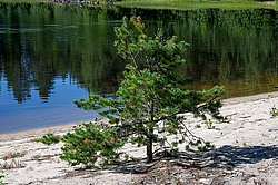 ���-�������� �������. ��������. ������ ������ ����