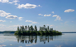 ���-�������� �������. ��������. ������ ������ ����