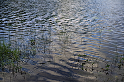 ����������� �������. ��������, ������� ���