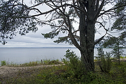 ����������� �������. ������� ������������,  �� ������ ����������.