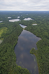 ����������� �������, ������ ��������������. ��������, �� ���������