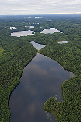 ����������� �������, ������ ��������������. ��������, �� ���������