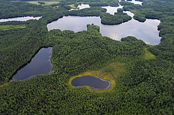 ����������� �������, ������ ��������������. ��������, �� ���������