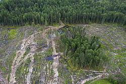 ��������� �������, ����������� ����������. ����� ������� �������� �����