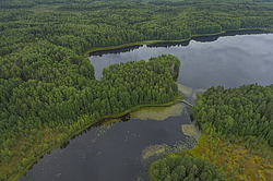 ����������� �������, ������ ��������������. ��������, �� ���������