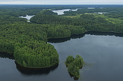 ����������� �������, ������ ��������������. ��������, �� ���������