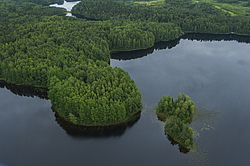 ����������� �������, ������ ��������������. ��������, �� ���������