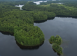 ����������� �������, ������ ��������������. ��������, �� ���������