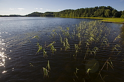 ����������� �������. ��������, ������� ���